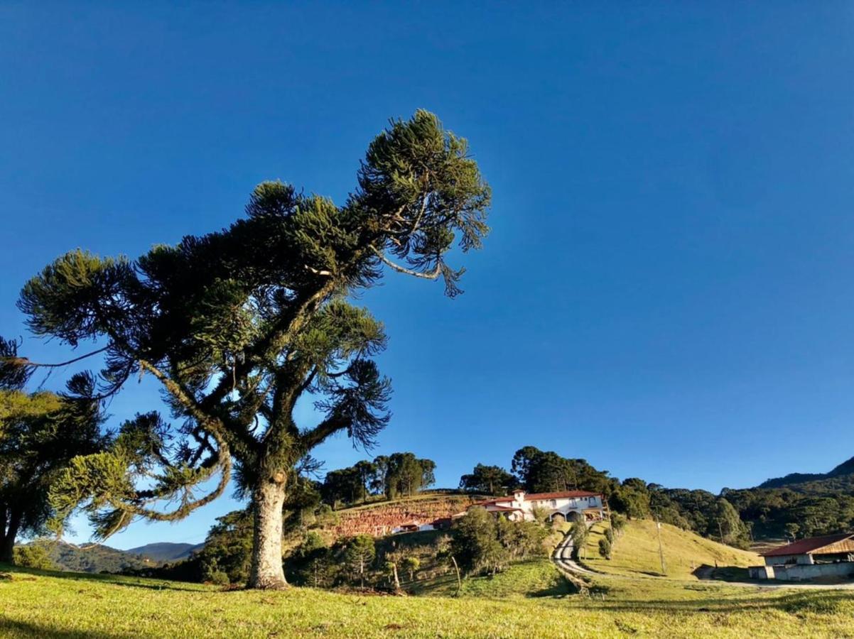 Pousada Fazenda Da Invernada Urubici Esterno foto